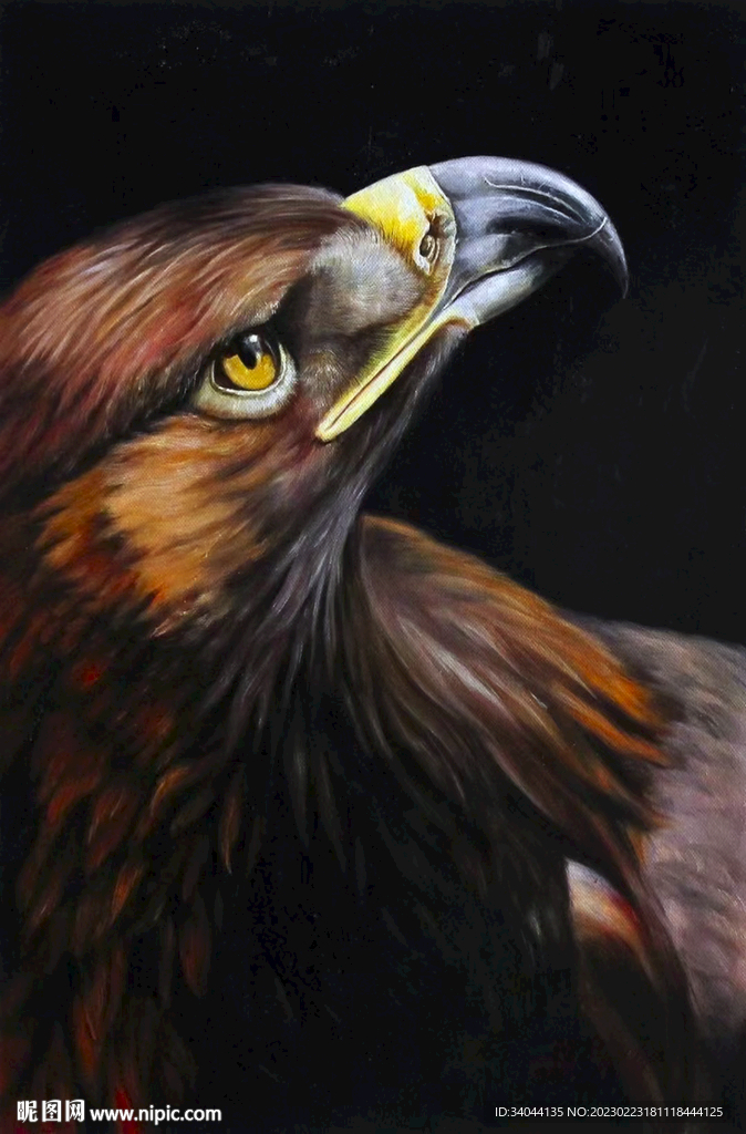 老鹰油画