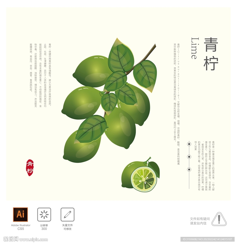 青柠 插画