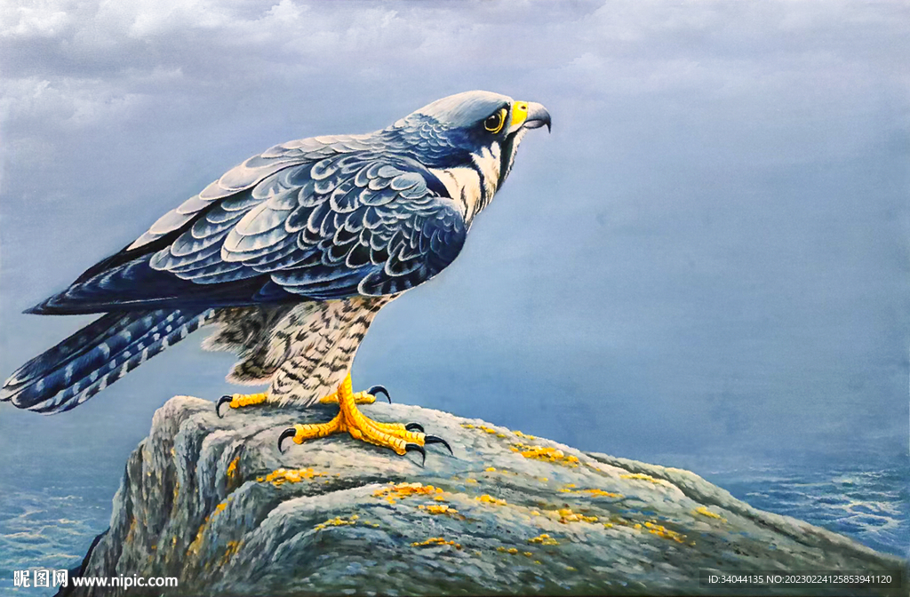 老鹰 油画