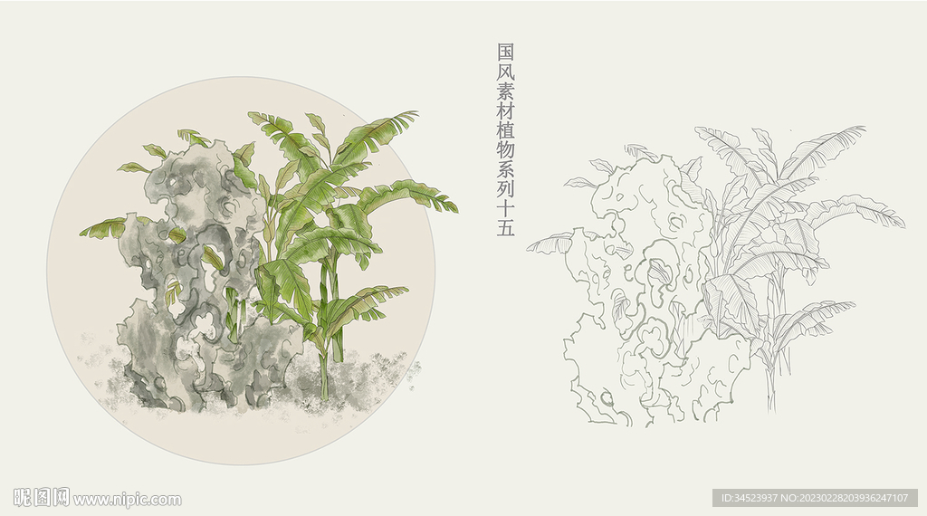 国画风植物