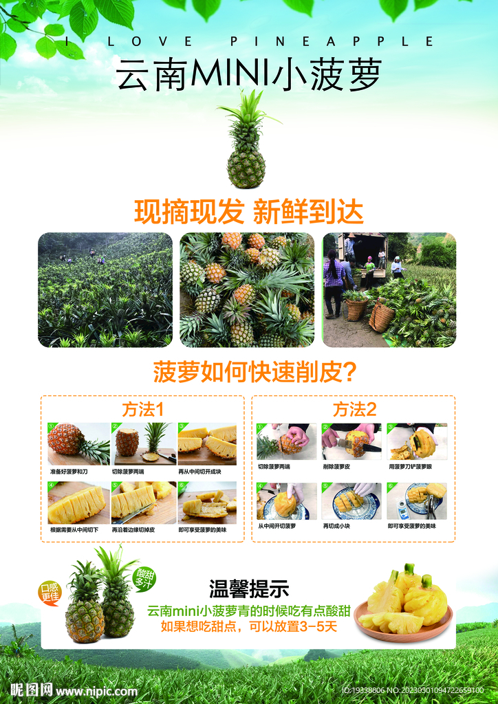 菠萝传单DM海报