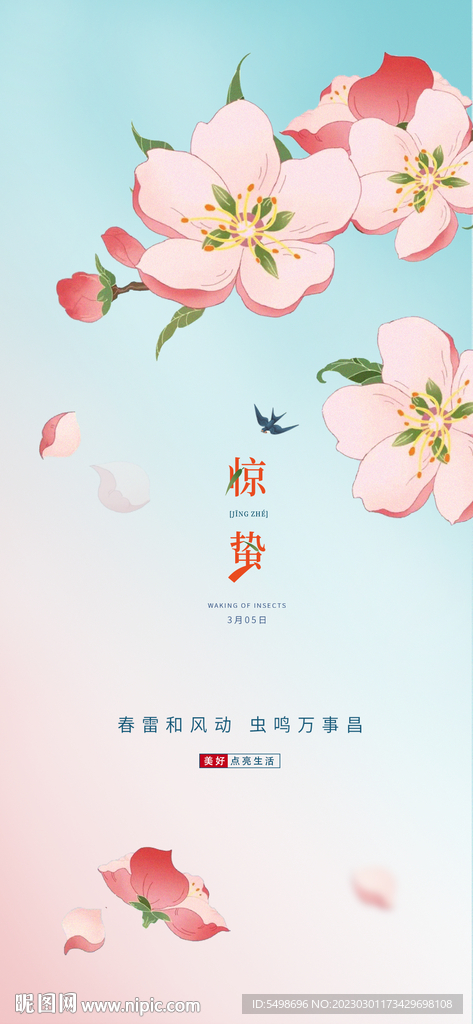 惊蛰 花 花瓣
