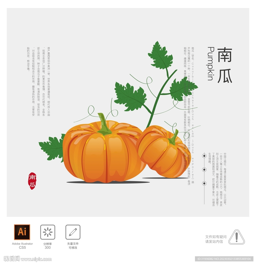 南瓜 插画