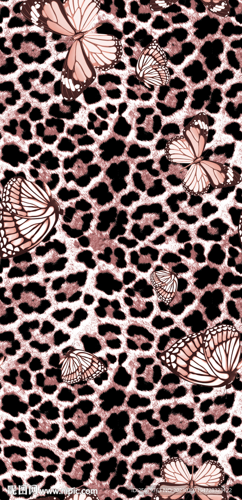豹纹蝴蝶