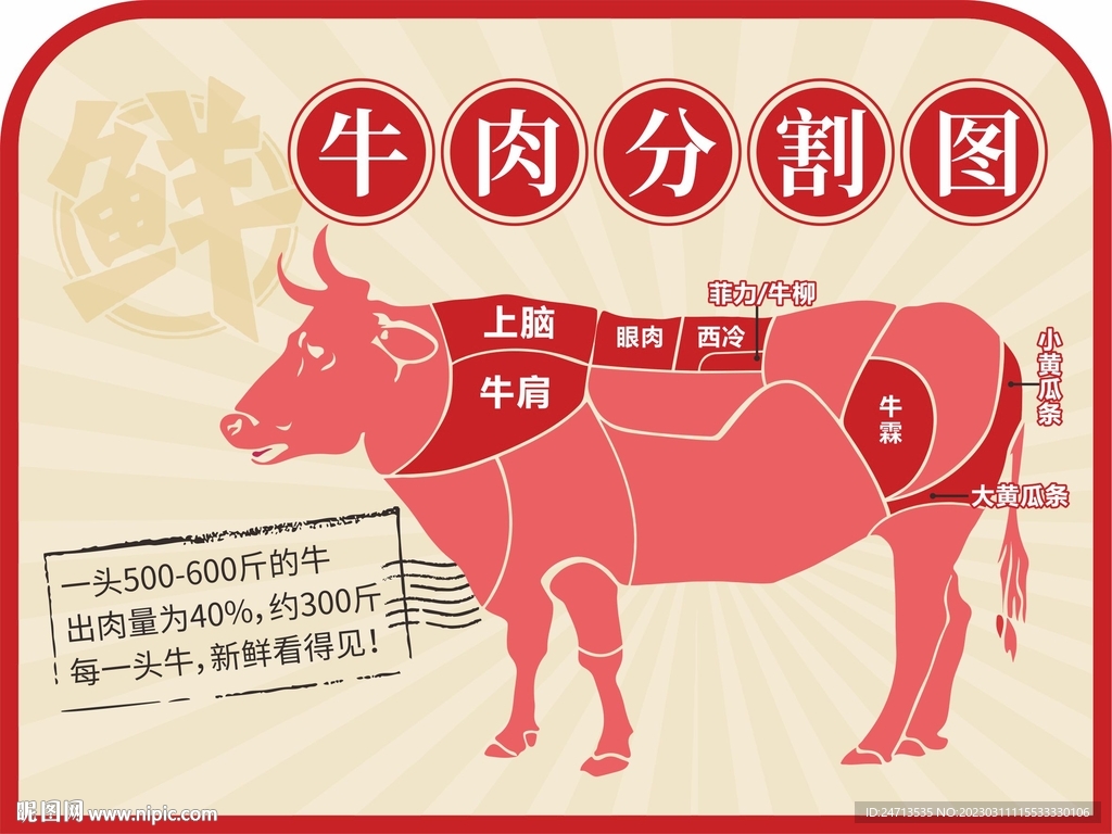 牛肉分割图