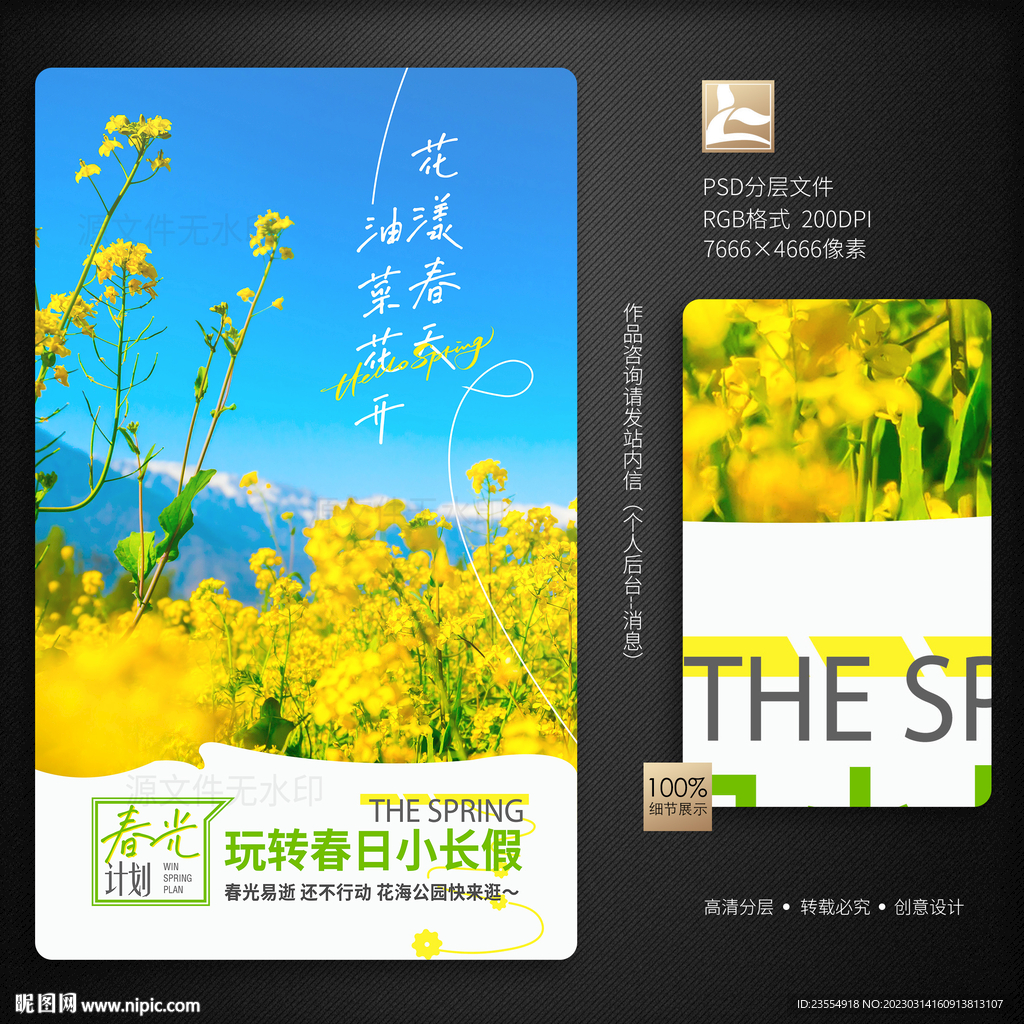 油菜花海报