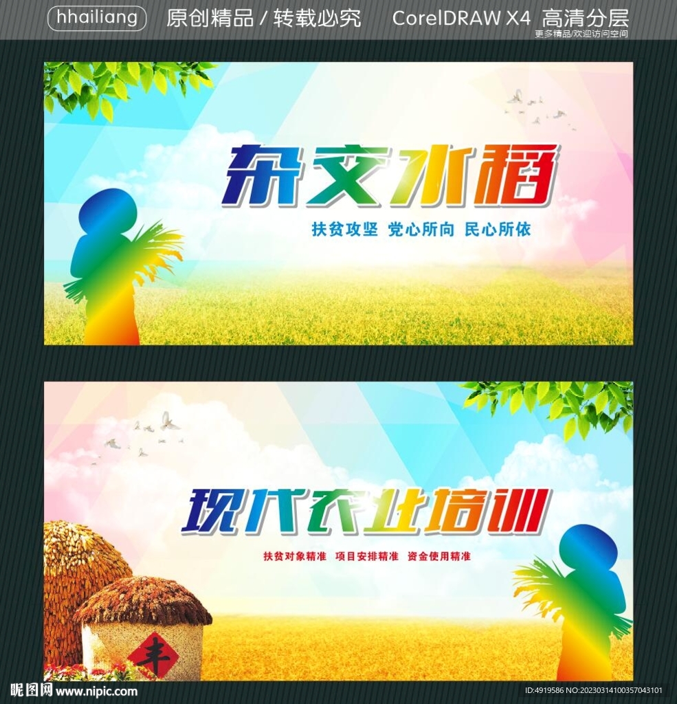 杂交水稻 现代农业培训