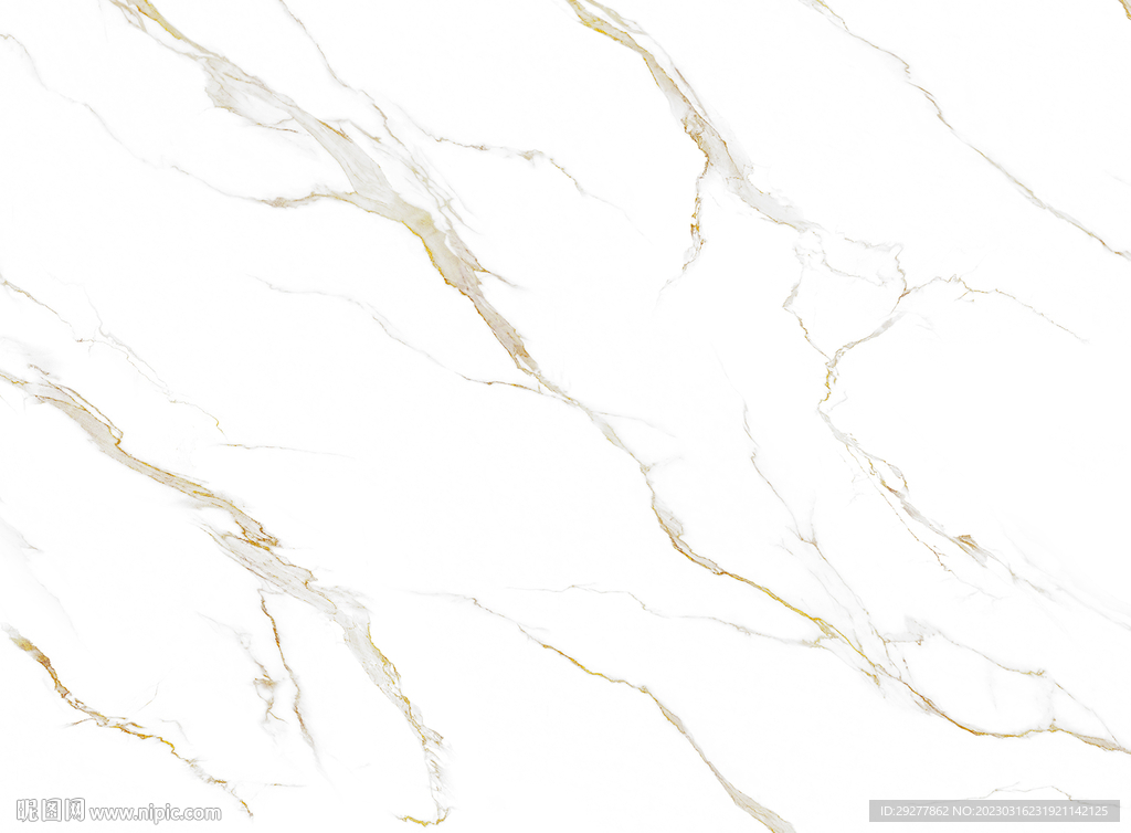 人气 简奢新爵士白 TIF合层