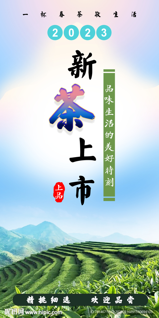 新茶2023 上市 清明前