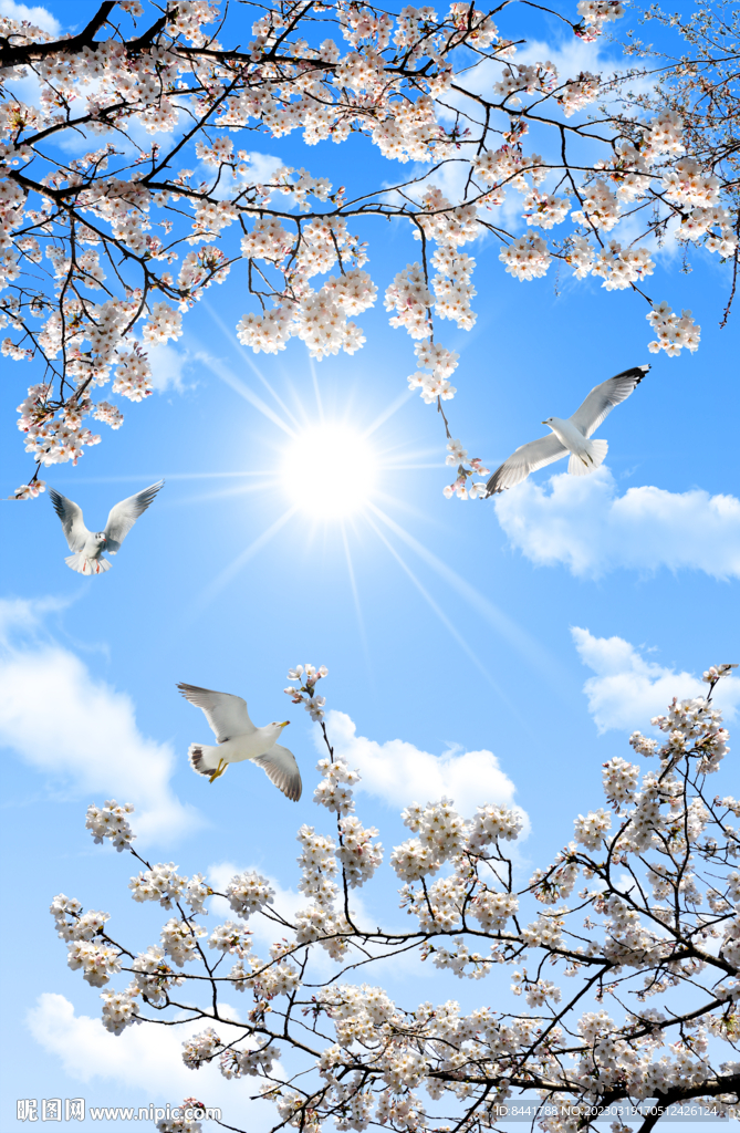 白鸽 天空吊顶 吊顶壁画 蓝天