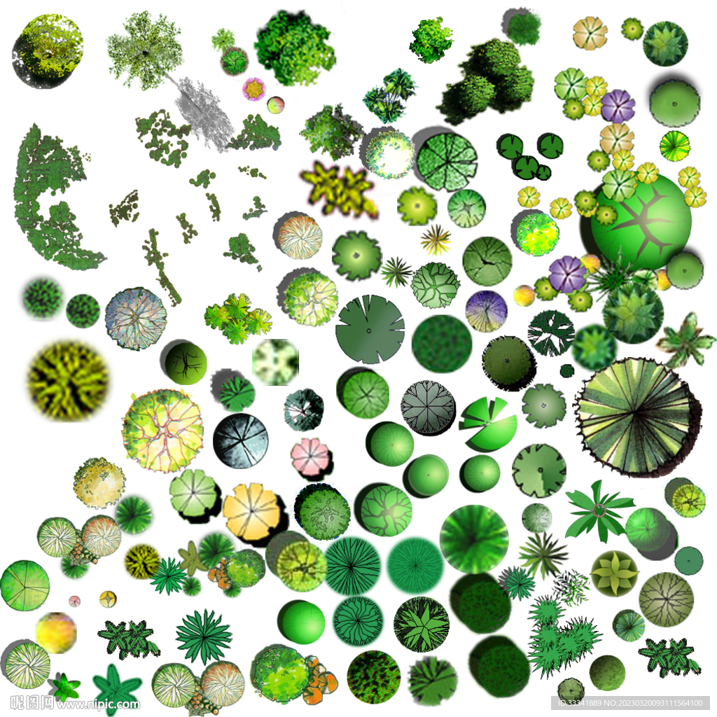 彩平树 平面植物树