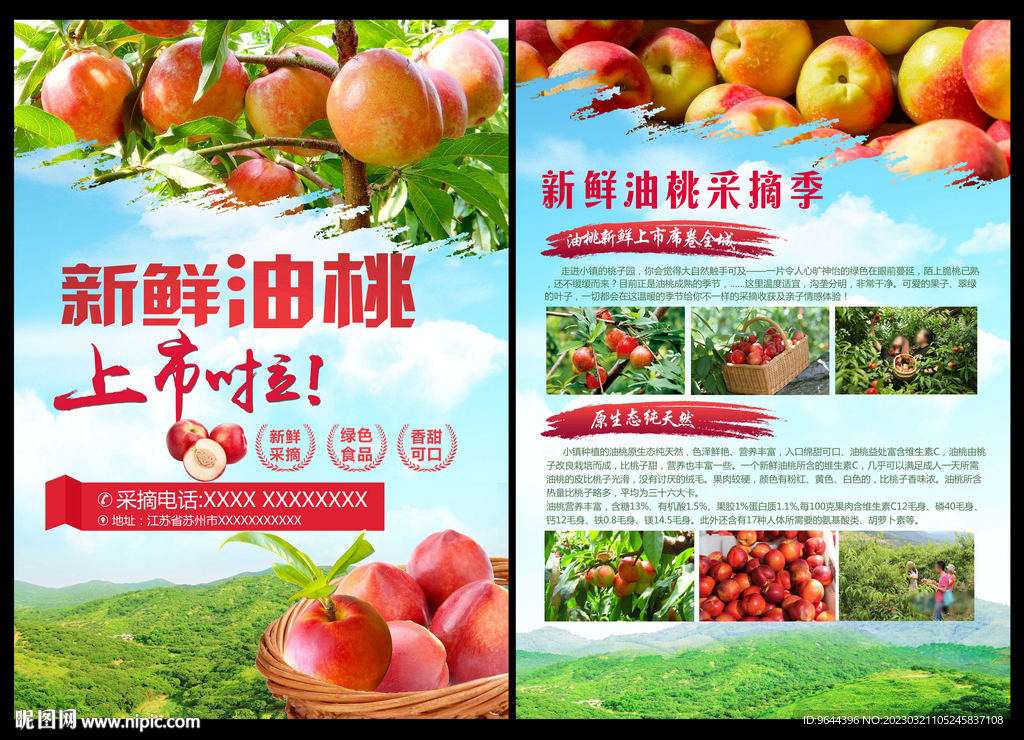 新鲜油桃上市了 