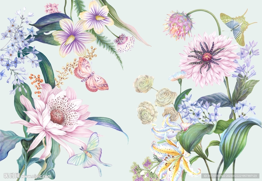 植物花卉枝叶蝴蝶