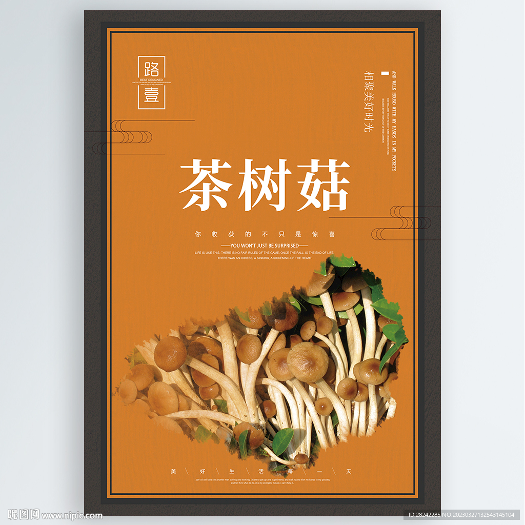 茶树菇