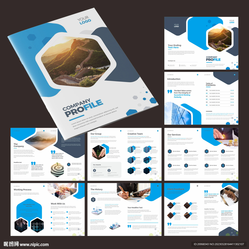 蓝色企业宣传册