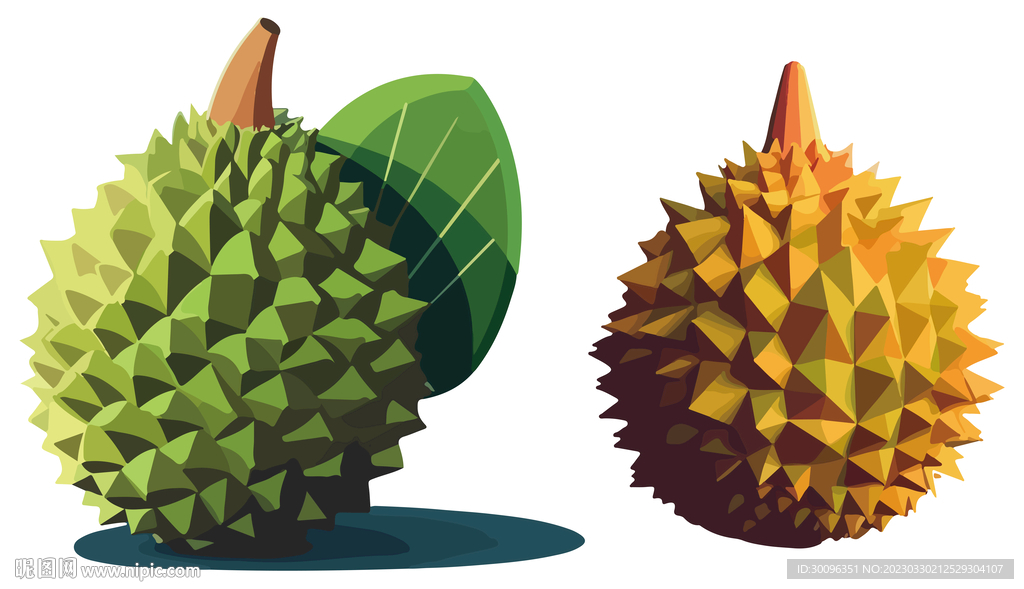 熟透的猫山王榴莲