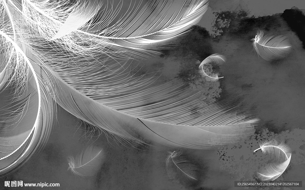 北欧现代简约羽毛抽象电视背景墙