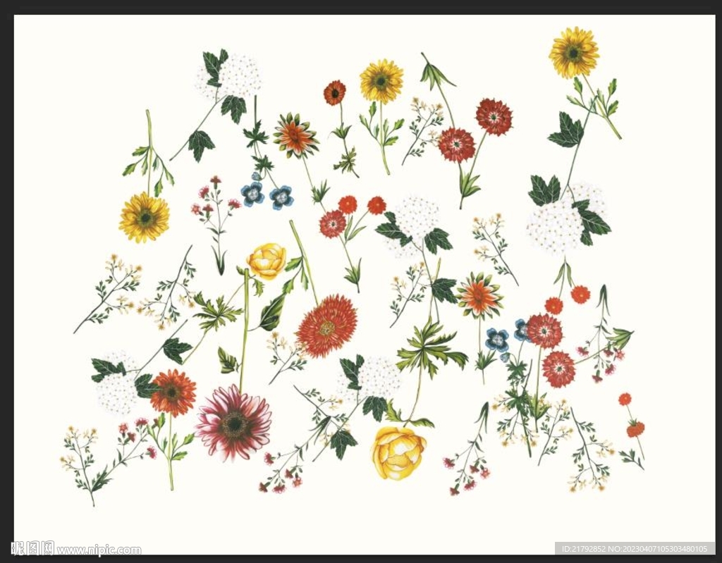 大牌数码印花图片