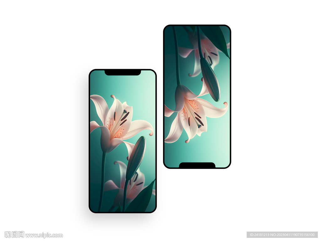 手机壁纸  插画   花