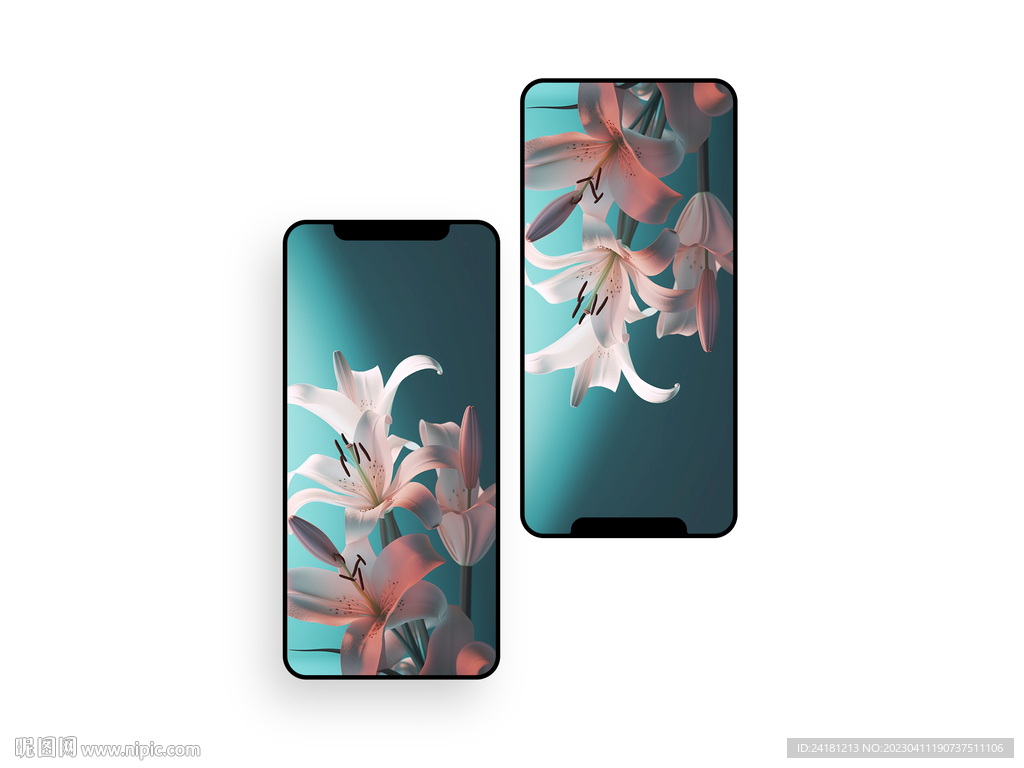 手机壁纸  插画   花