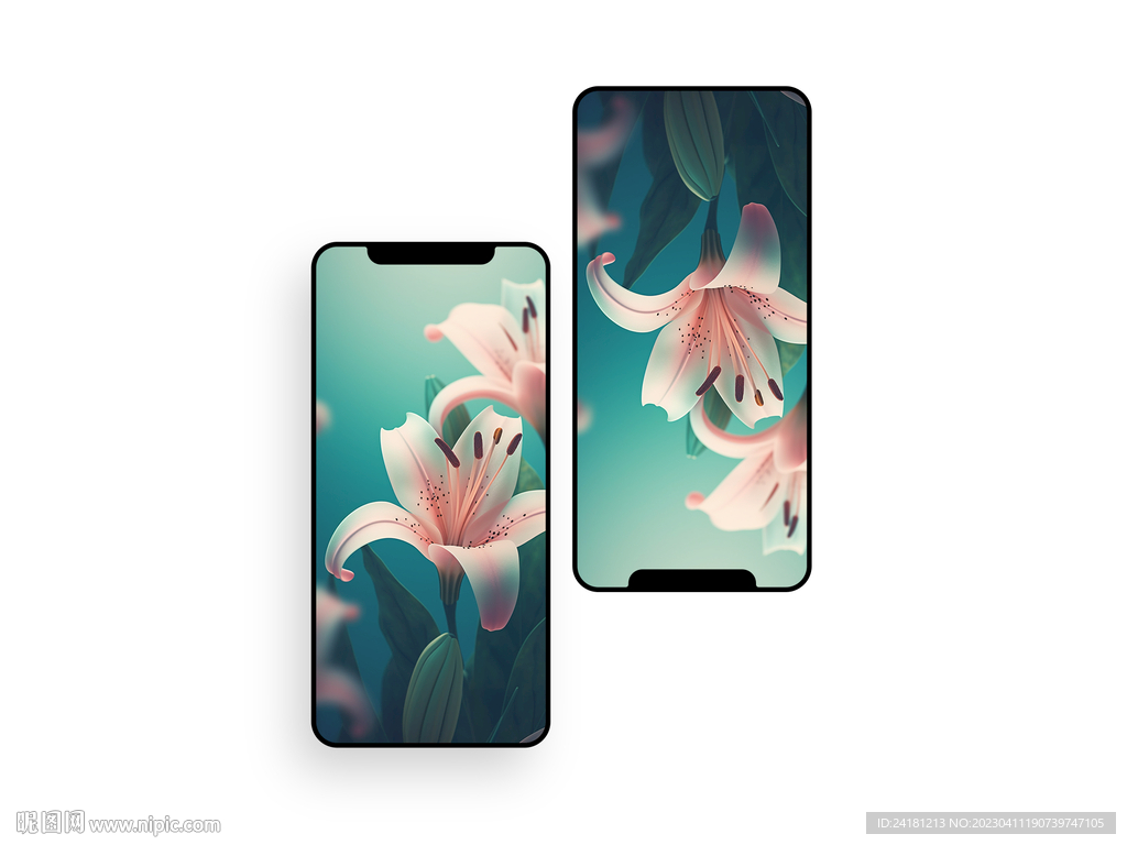 手机壁纸  插画   花