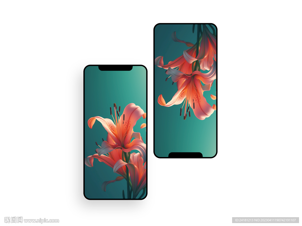 手机壁纸  插画   花