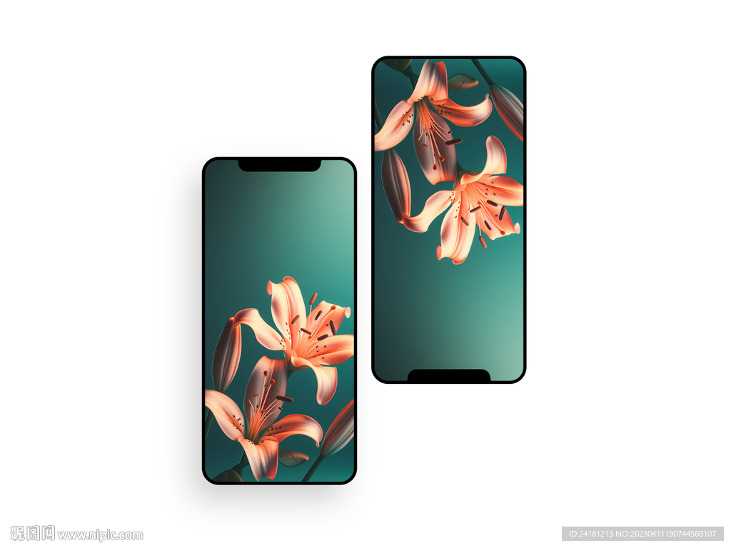 手机壁纸  插画   花