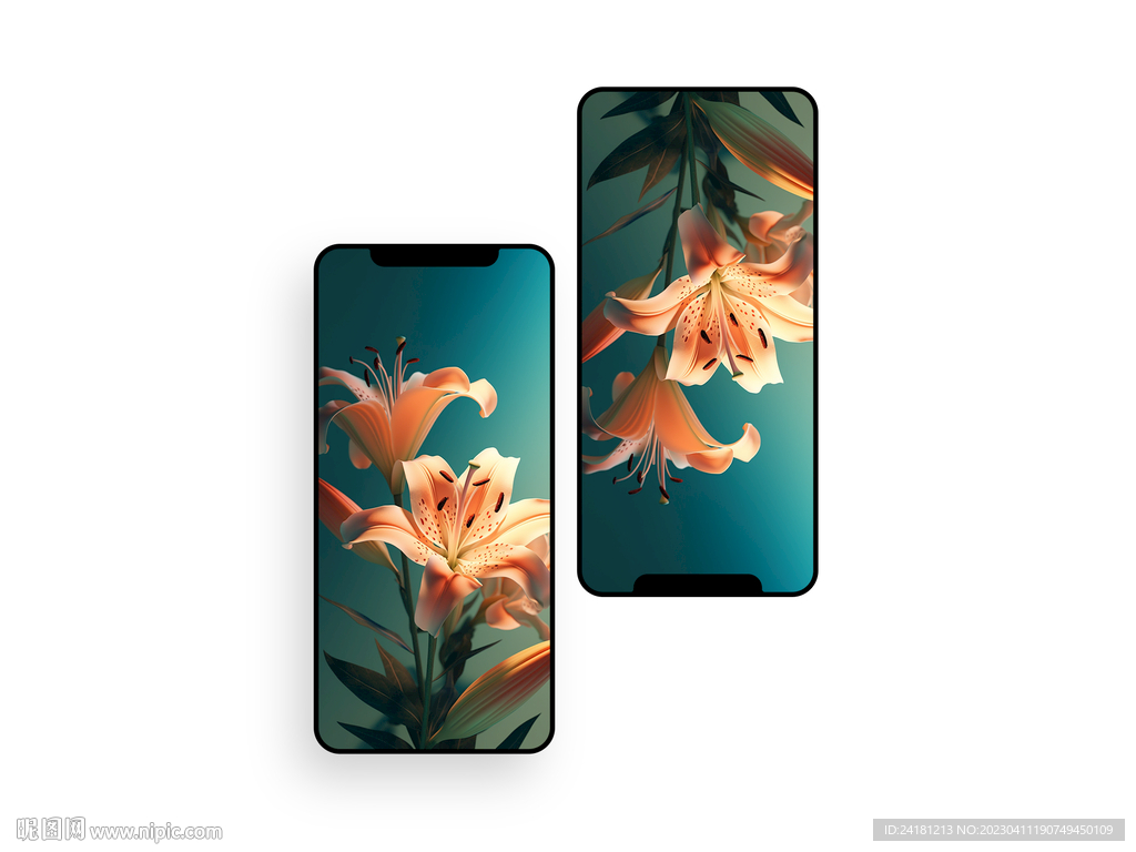 手机壁纸  插画   花