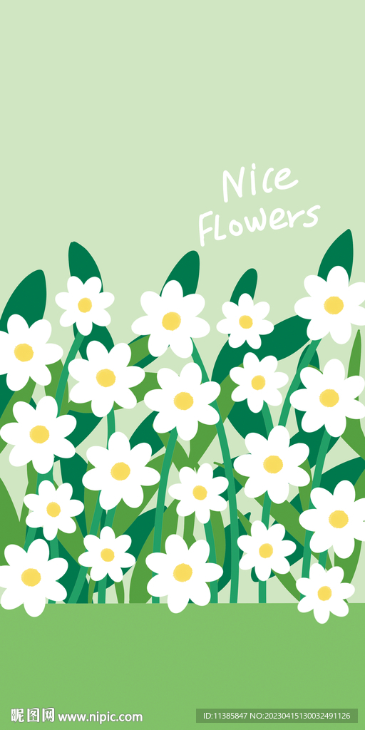 白菊花手机壳图案