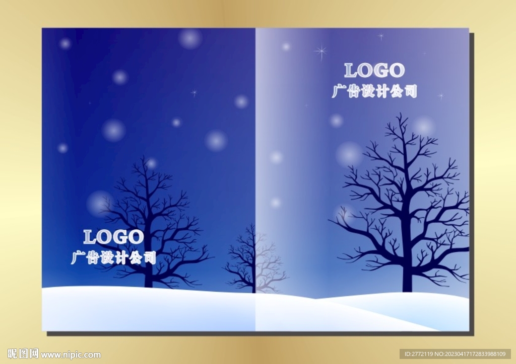 冰天雪地 星空封面