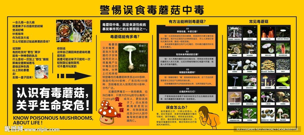 警惕毒蘑菇健康教育宣传