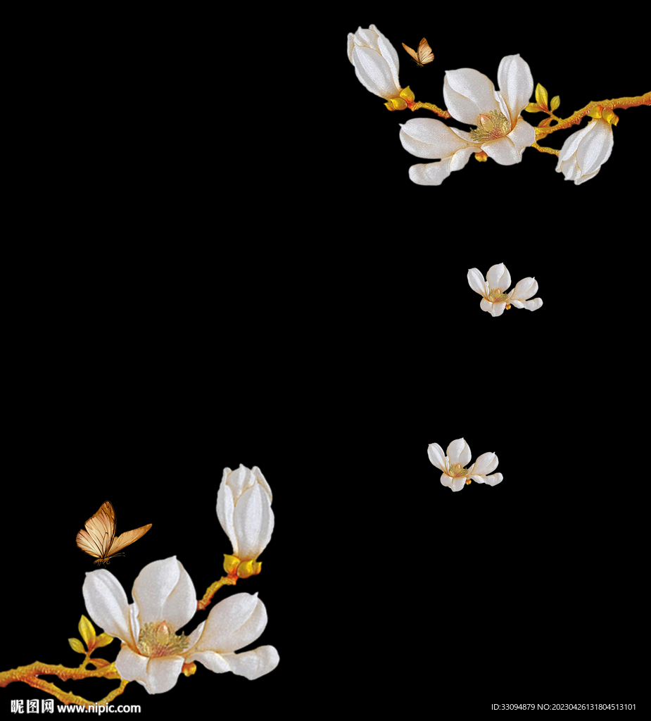 高清分层透明底玉兰花打印图