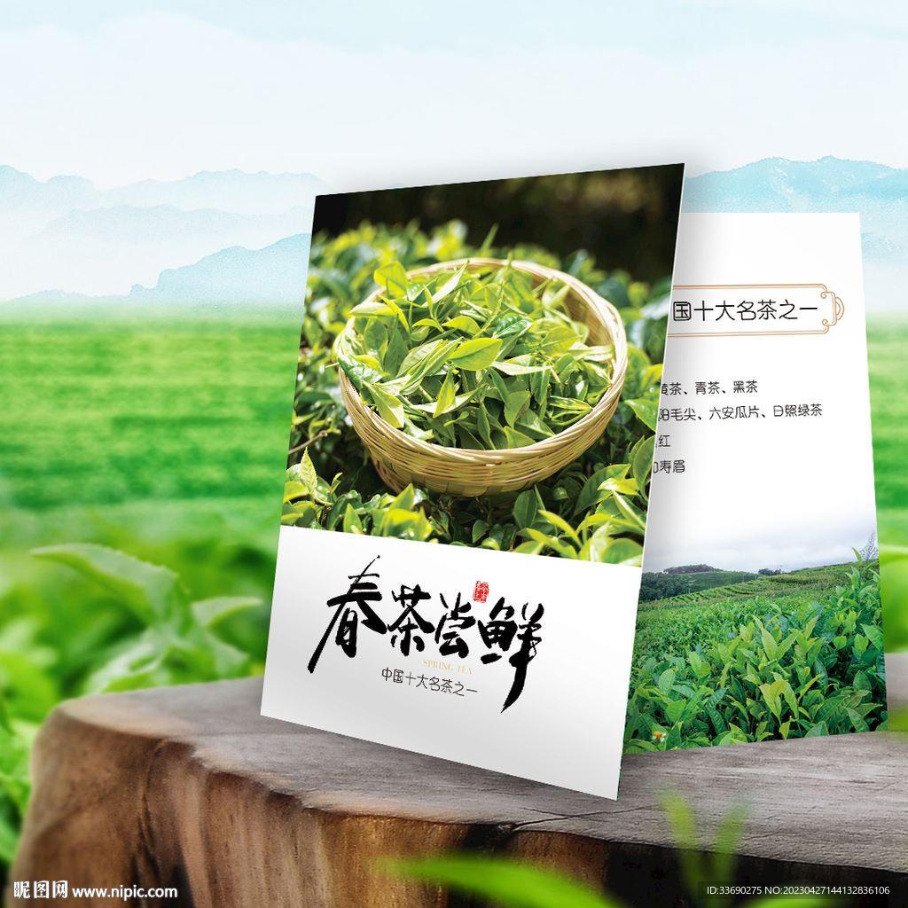 春茶绿茶茶叶介绍卡片名片设计