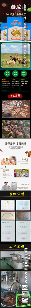 骆驼肉详情