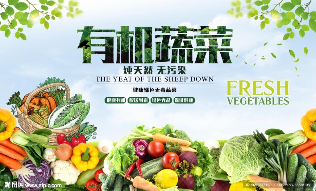 有机蔬菜新鲜蔬菜