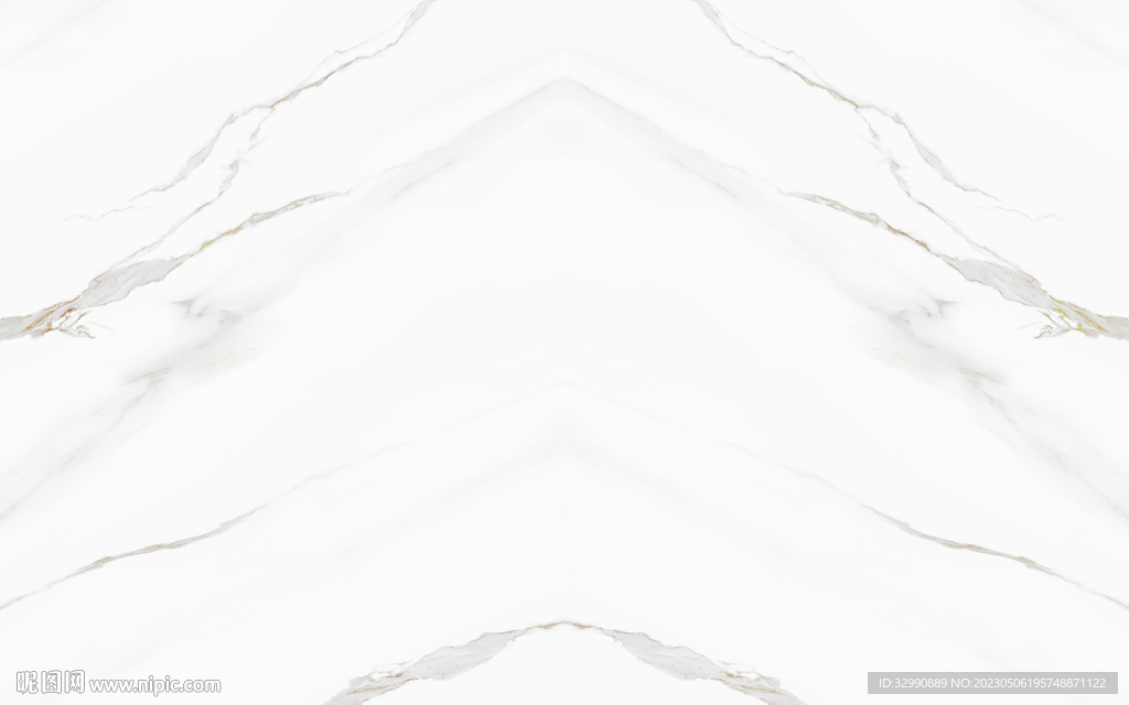 新品 金线纹鱼肚白 TIF合层