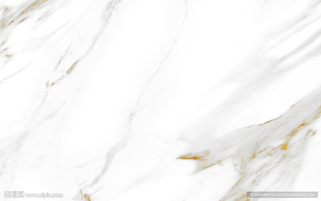 高档 金线纹鱼肚白 TIF合层