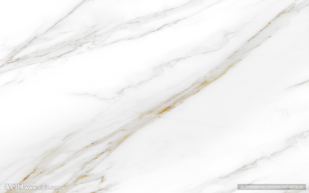 天然 金线纹鱼肚白 TIF合层