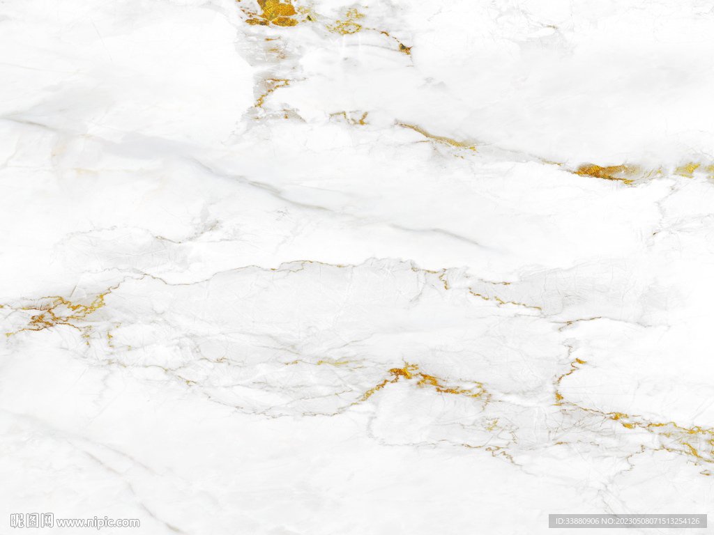 高档 金色鱼肚白画 TIF合层