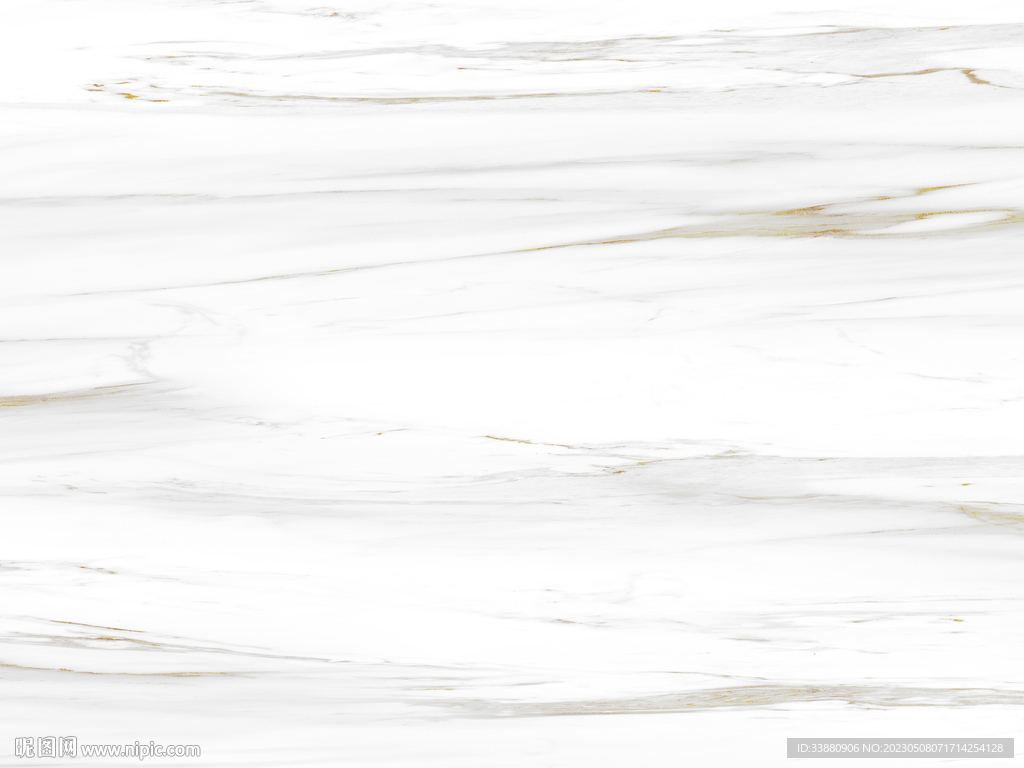 豪华 金色鱼肚白画 TIF合层