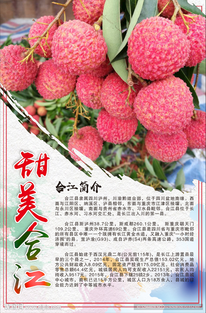 合江荔枝简介海报宣传画