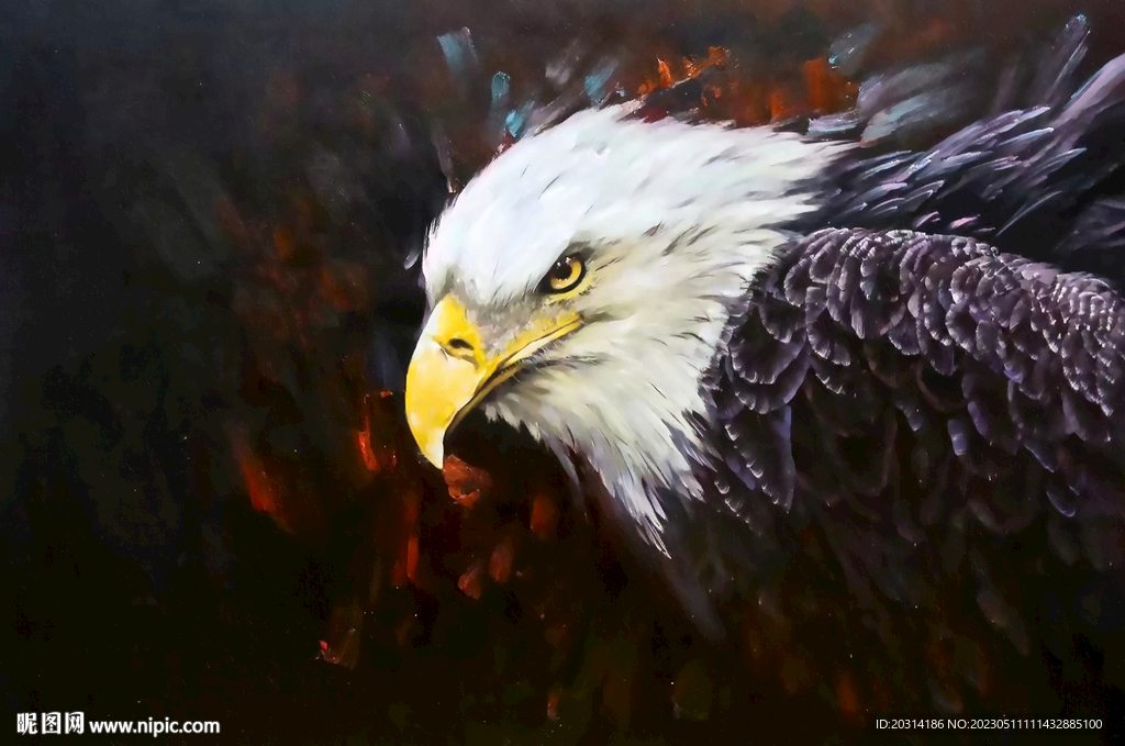 老鹰油画