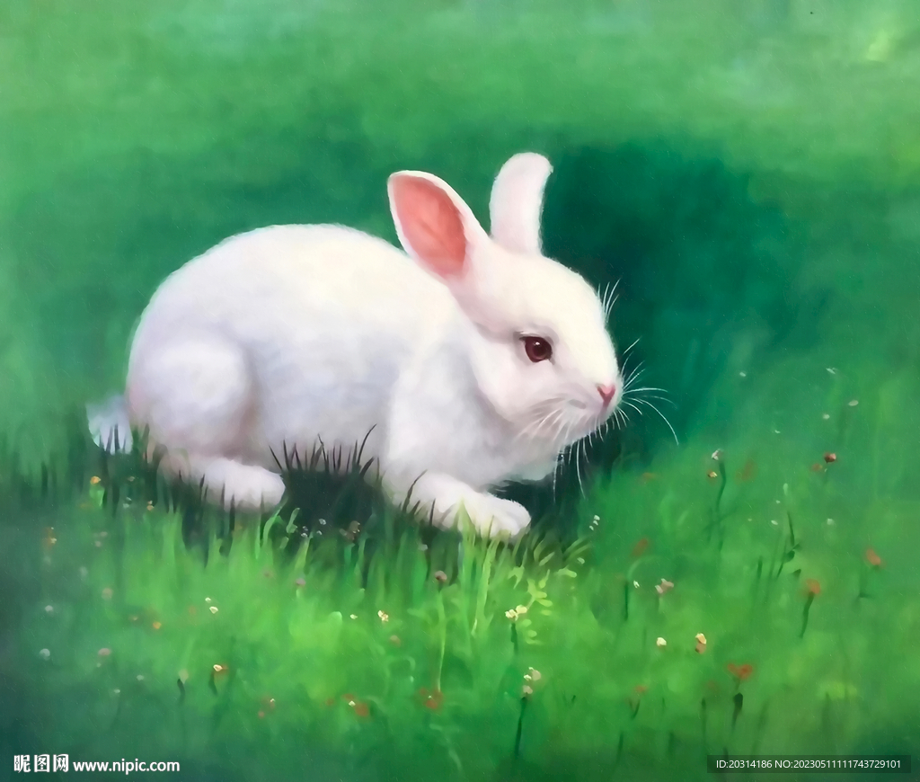 油画小白兔