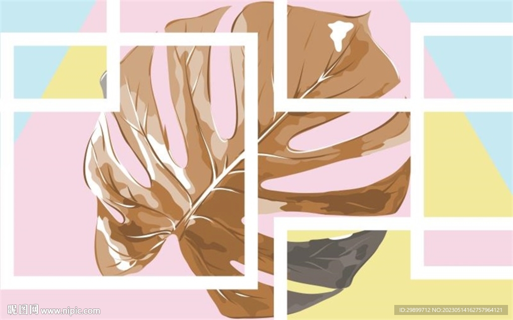 龟背竹叶子 分层不细