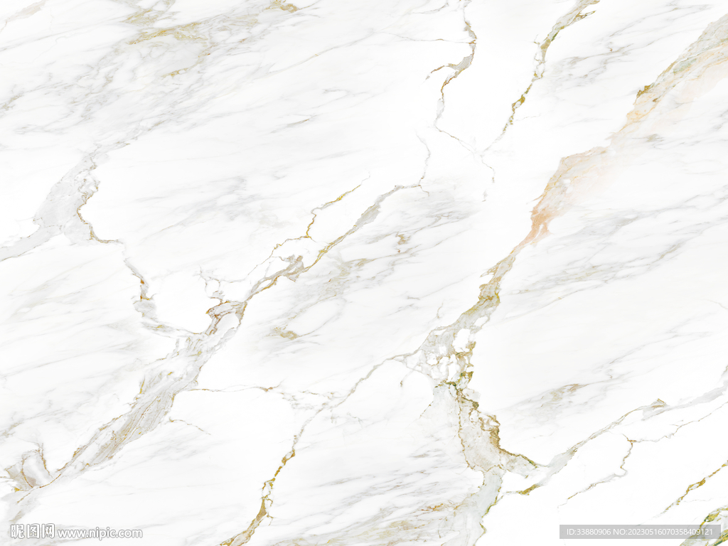 爆款 金线新鱼肚白 TIF合层