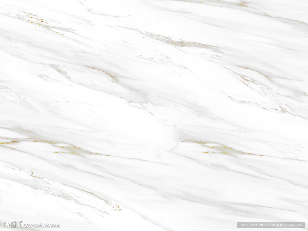 最新 金线新鱼肚白 TIF合层