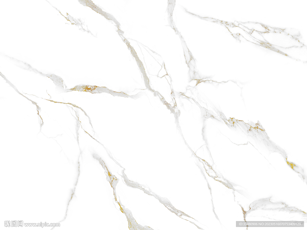 新品 金线新鱼肚白 TIF合层