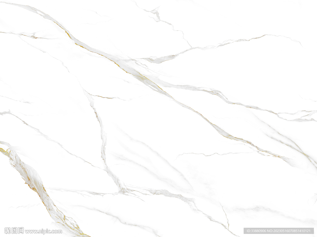 高端 金线新鱼肚白 TIF合层