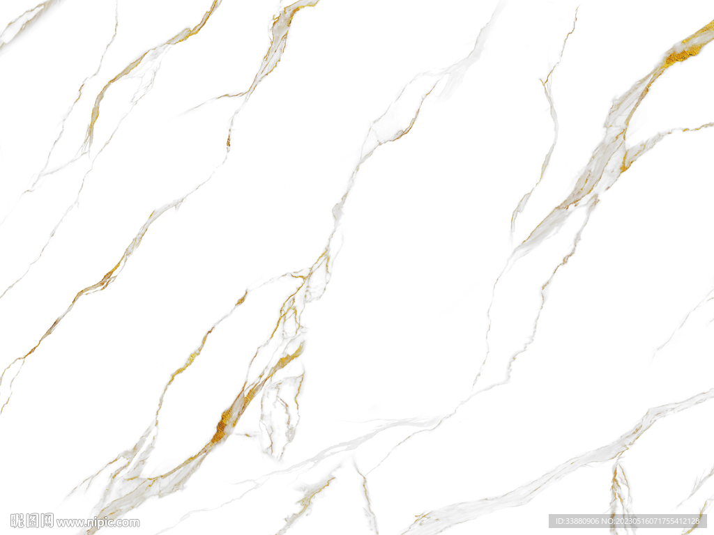 豪华 金线新鱼肚白 TIF合层