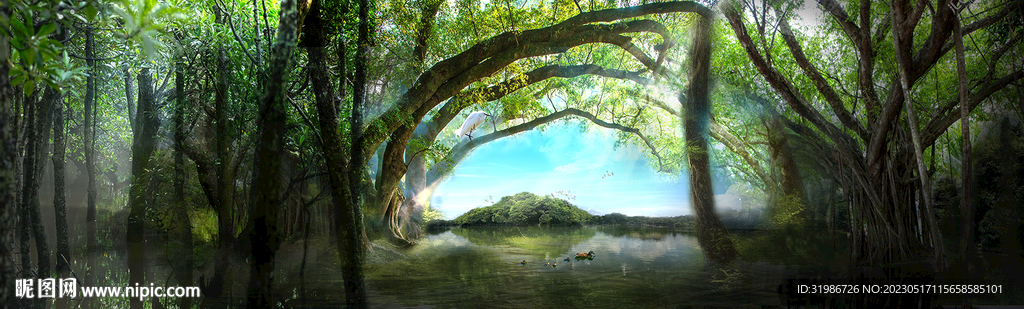 梦幻榕树林内部